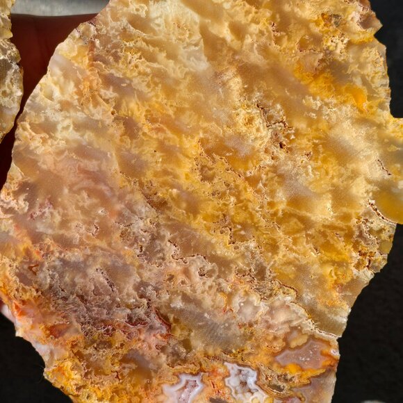 Beautiful Graveyard point Plume Agate - Picture 8 of 8